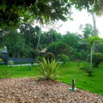 Nature inspired farm house stay resort in Kottayam, Kerala | Farm house Resort in Kottayam, Kerala